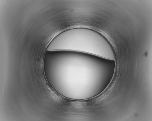 X0000091291185200708101019