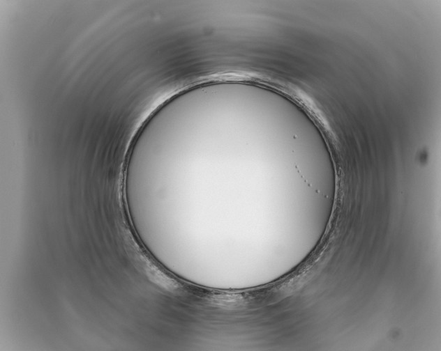 X0000091291186200708101019