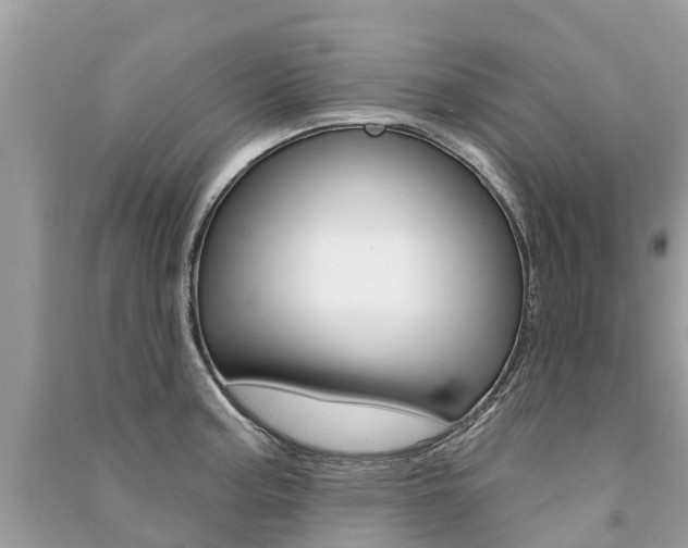 X0000091291187200708101019