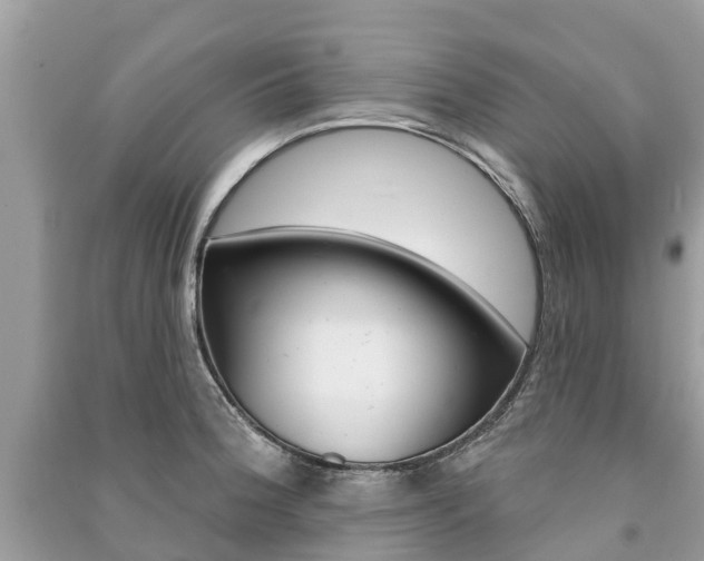 X0000091291188200708101019