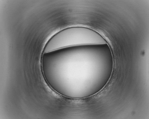 X0000091291189200708101019