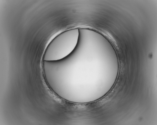 X0000091291190200708101019