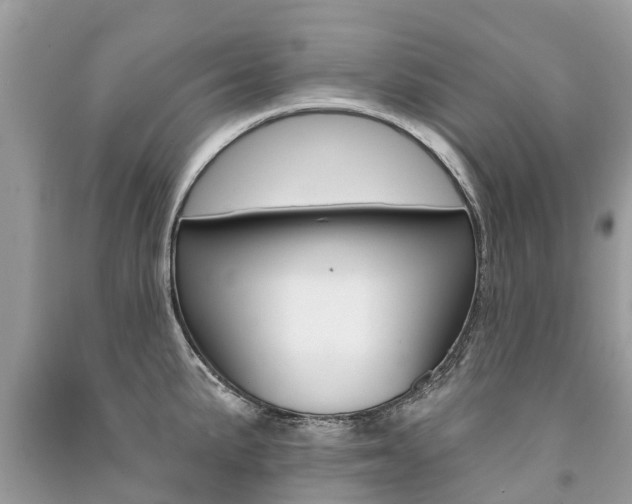 X0000091291191200708101019