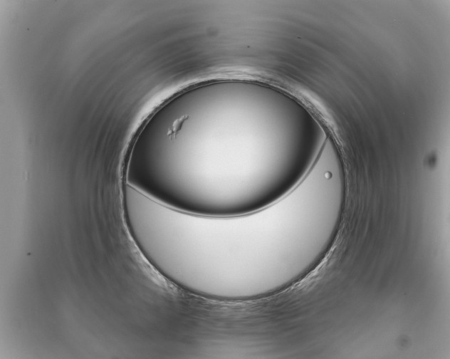 X0000091291192200708101019