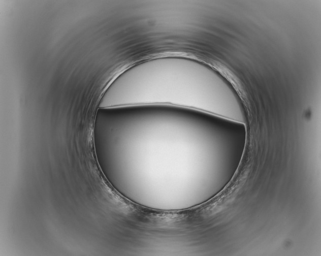 X0000091291193200708101019