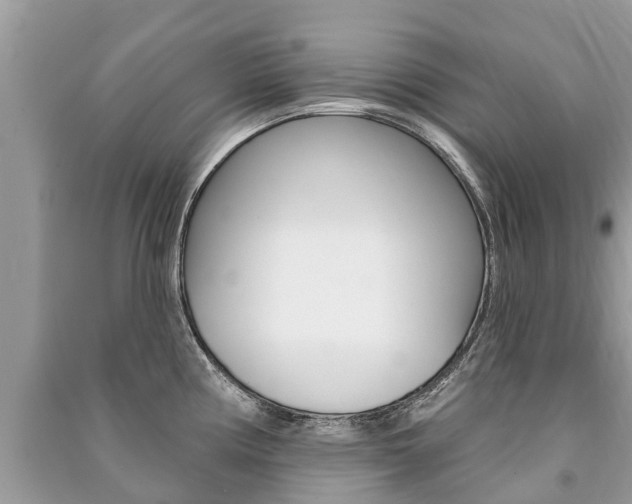 X0000091291194200708101019