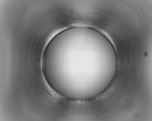 X0000091291195200708101019