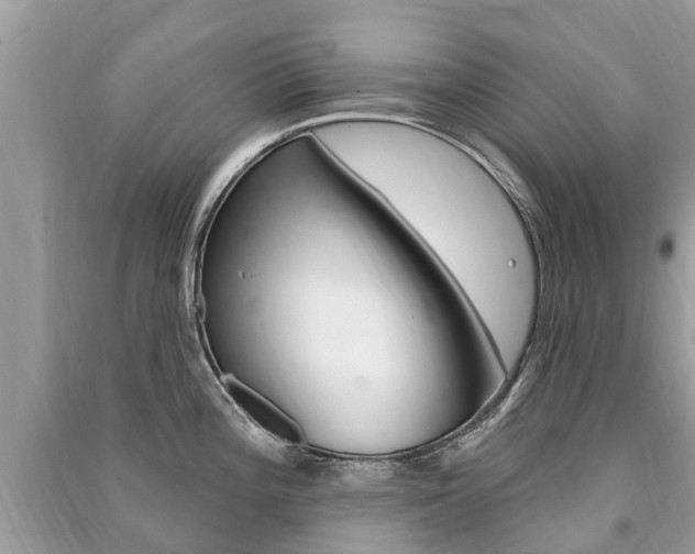 X0000091291196200708101019