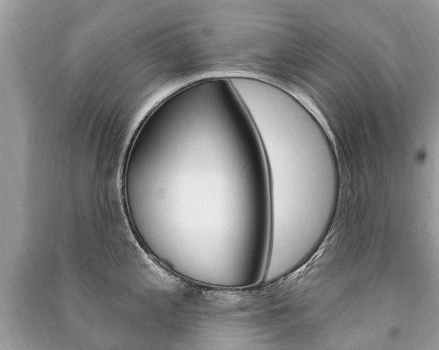 X0000091291197200708101019