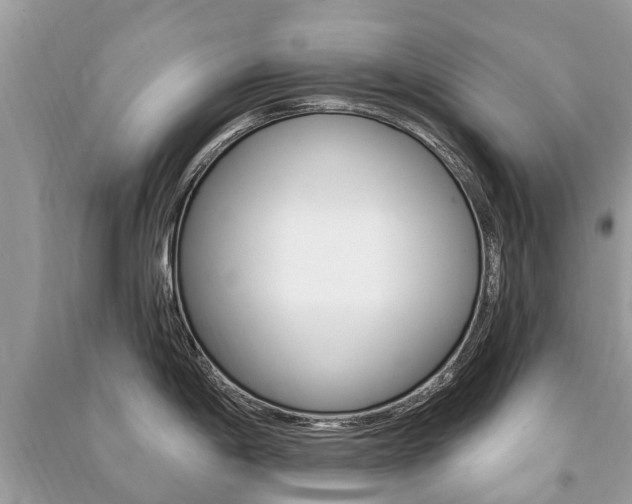 X0000091291198200708101019