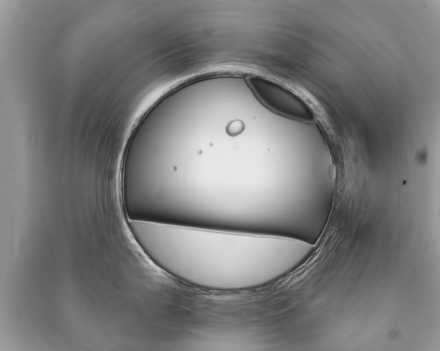 X0000091291199200708101019