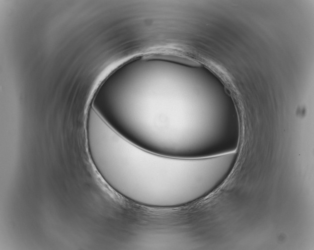 X0000091291200200708101019