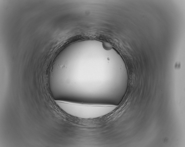 X0000091291201200708101018