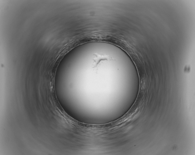 X0000091291202200708101019