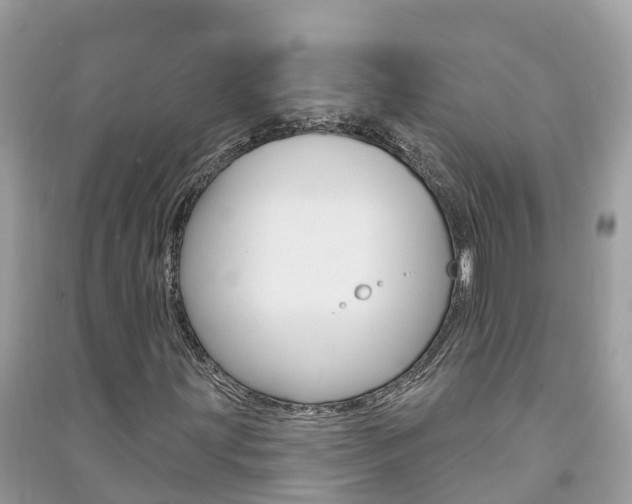 X0000091291203200708101019