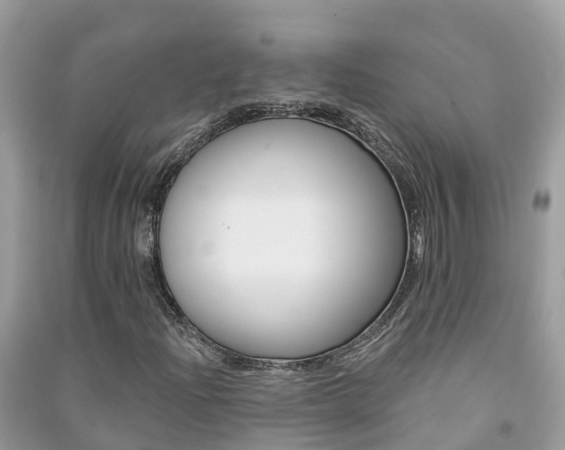 X0000091291204200708101019