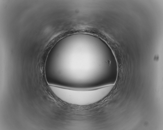 X0000091291206200708101019