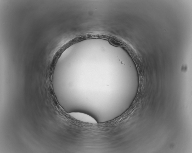 X0000091291207200708101019