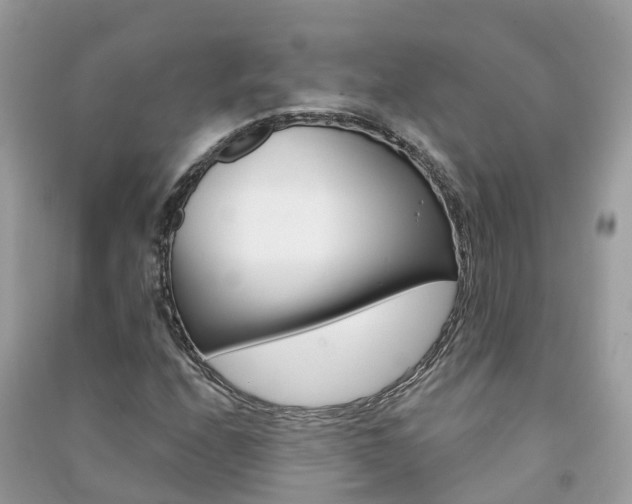 X0000091291208200708101019