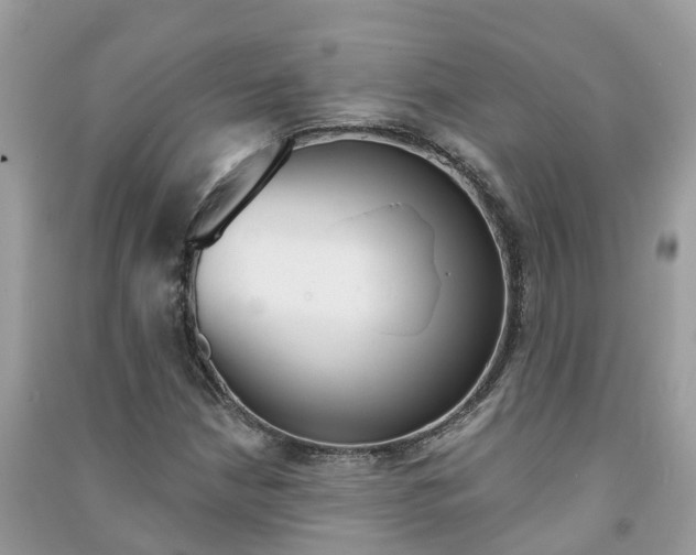 X0000091291210200708101019