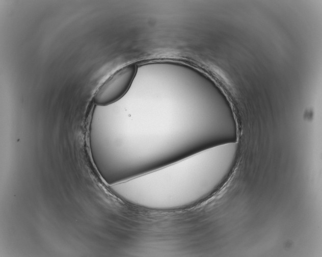 X0000091291212200708101019
