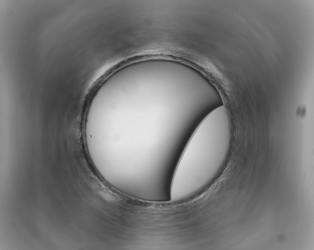 X0000091291216200708101019