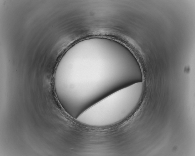 X0000091291217200708101019