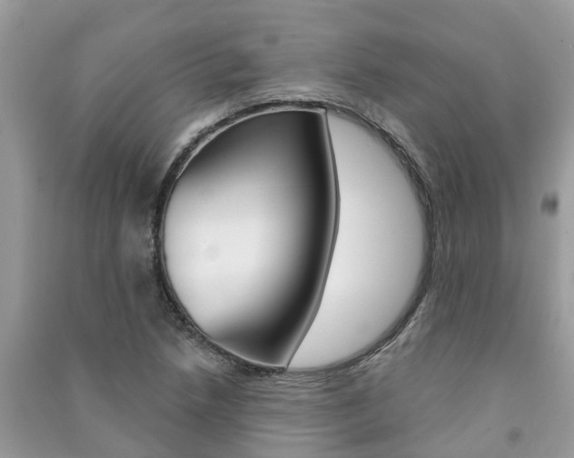 X0000091291218200708101019
