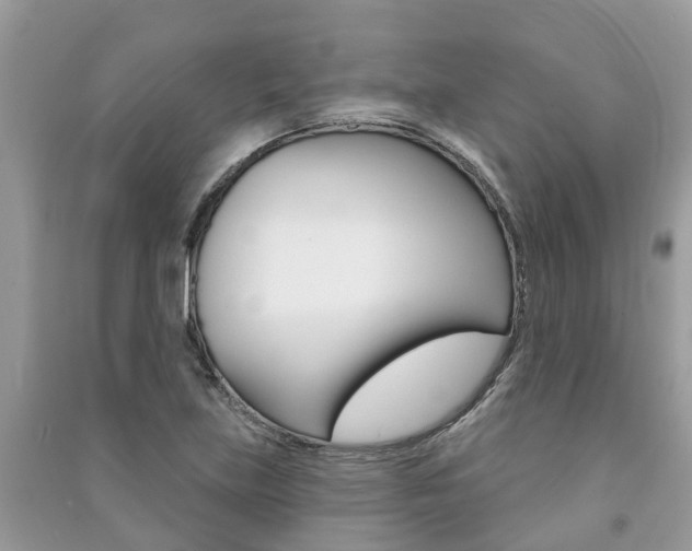 X0000091291219200708101019