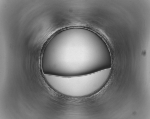 X0000091291220200708101019