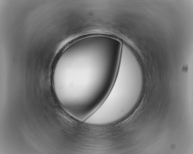 X0000091291222200708101019