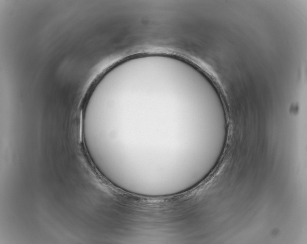 X0000091291223200708101019