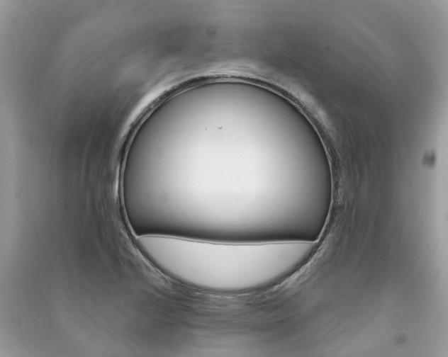 X0000091291224200708101019
