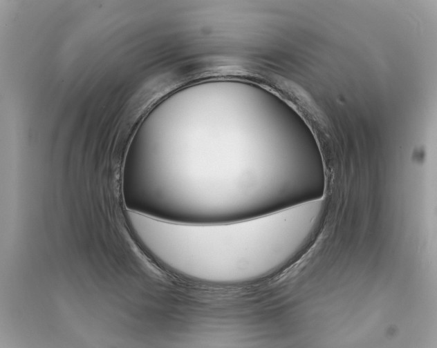 X0000091291225200708101019