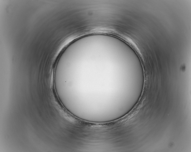 X0000091291227200708101019
