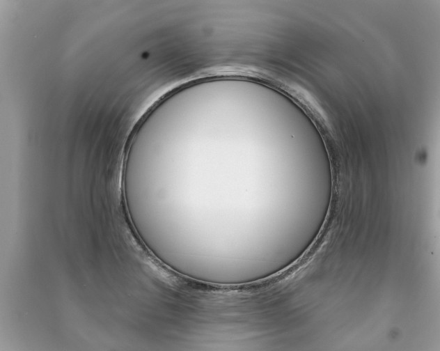 X0000091291228200708101019