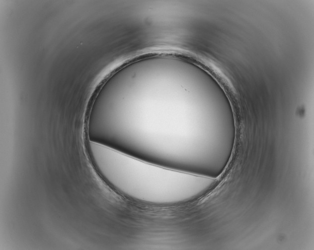 X0000091291229200708101019