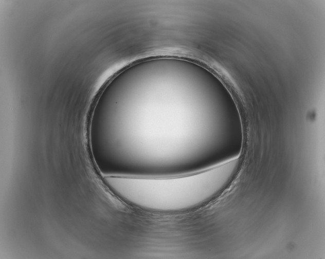 X0000091291230200708101019
