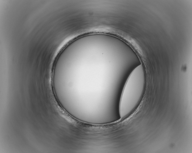 X0000091291232200708101019