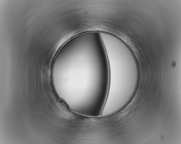 X0000091291234200708101019