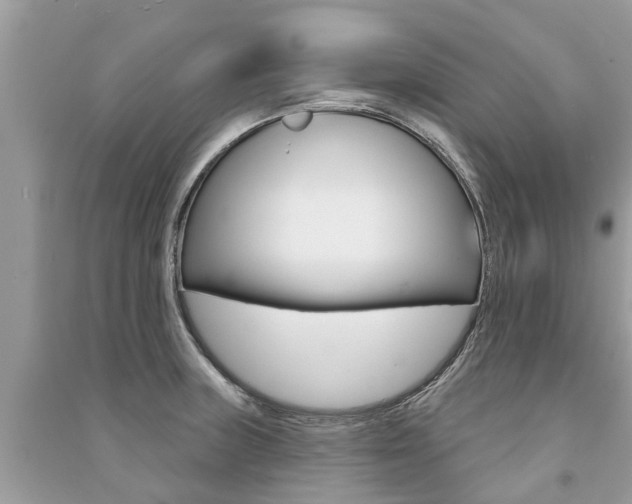 X0000091291235200708101019
