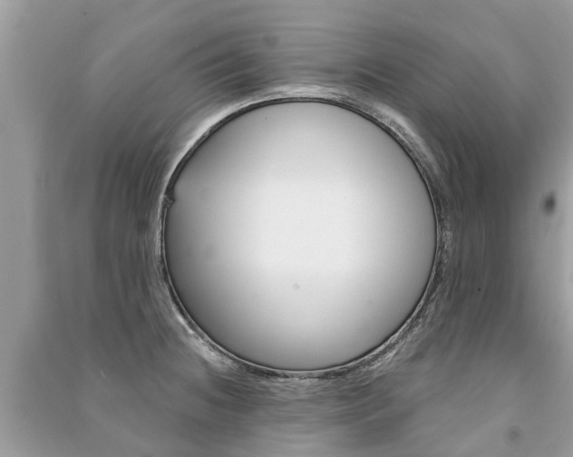 X0000091291236200708101019