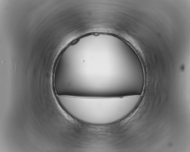 X0000091291237200708101019