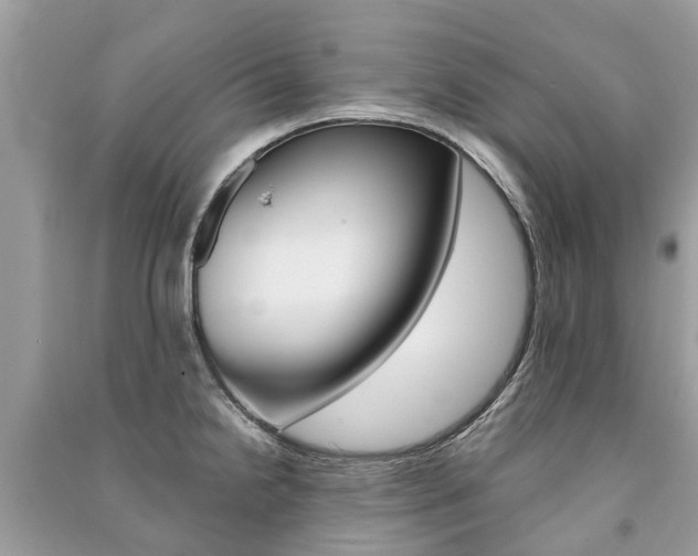 X0000091291238200708101019