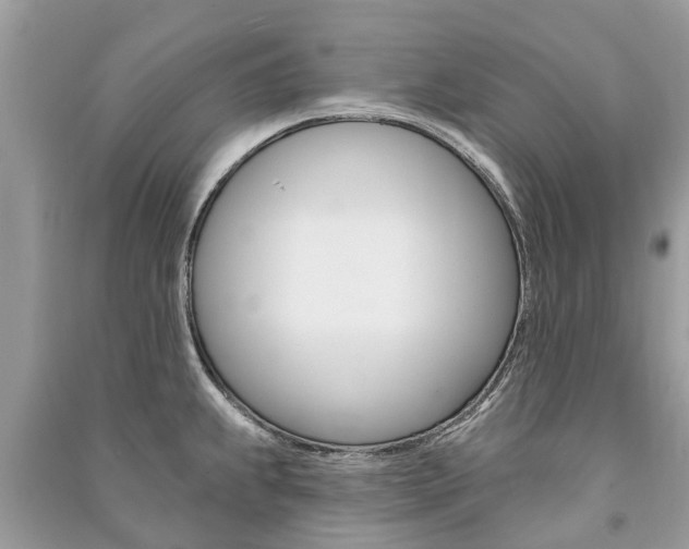 X0000091291239200708101019