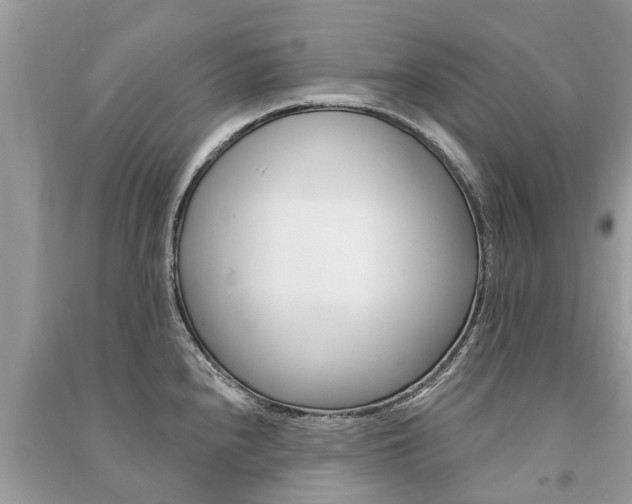 X0000091291240200708101019
