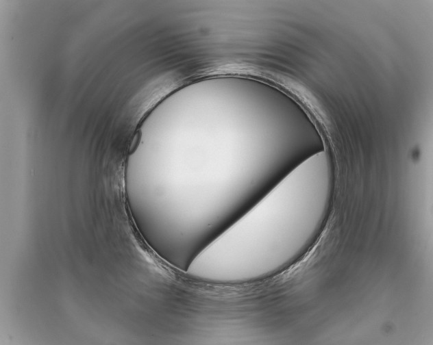X0000091291241200708101019