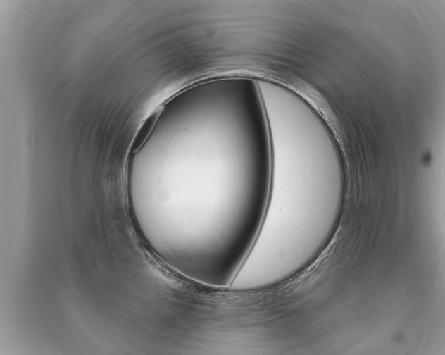 X0000091291242200708101019