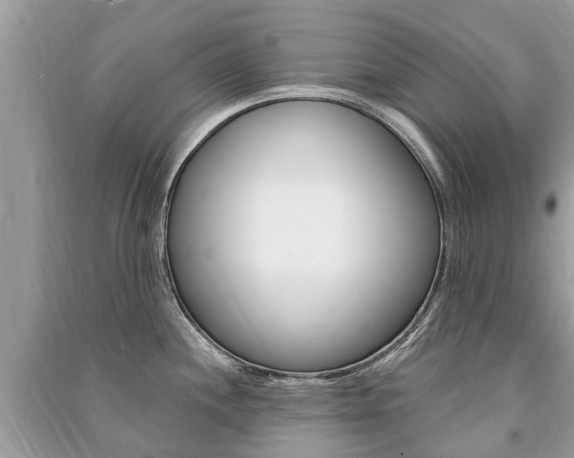 X0000091291244200708101019