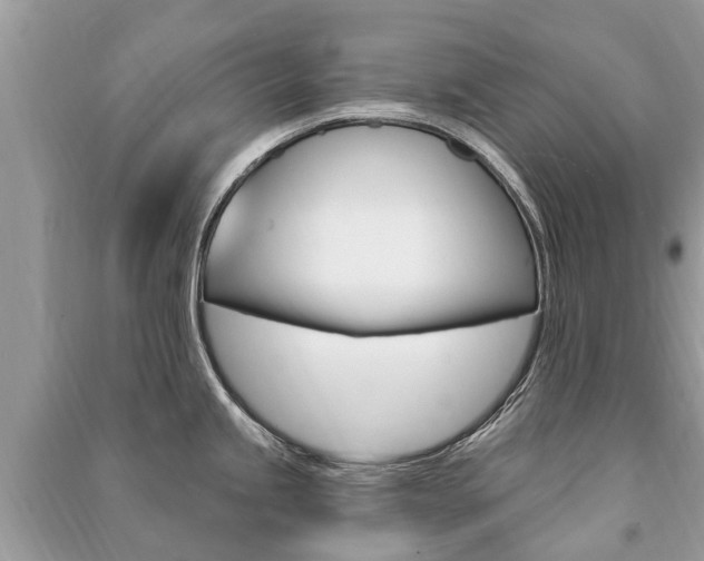 X0000091291245200708101019